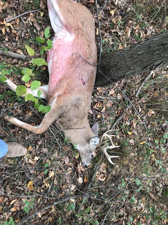 53089379229__126A4D37-0C7C-49E3-9E57-DB1BCCDDFCE3