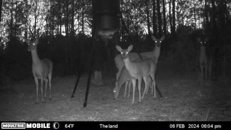 image638476366162735954