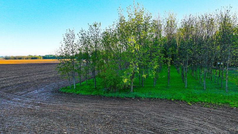 dji_fly_20260430_072726_0265_1777548730853_photo
