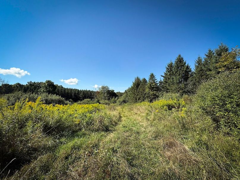 Tioga NY 232.62 Shores Photos 28