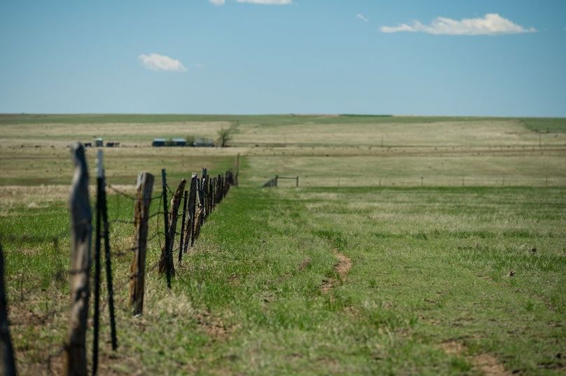 020 Eastern Fenceline