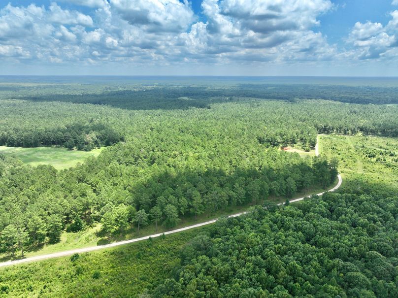 dji_fly_20230731_133150_456_1690845659116_photo