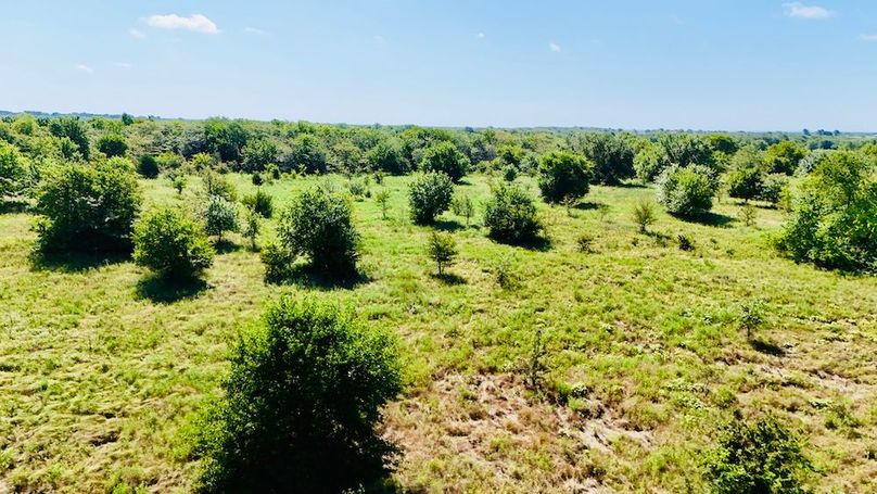 dji_fly_20250728_102202_0056_1753739688058_photo