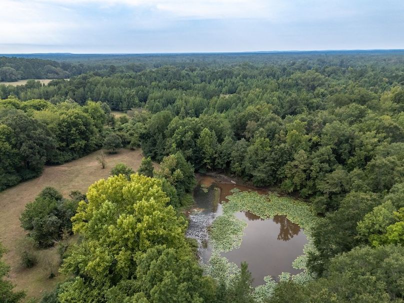 11 Jefferson 117ac - bethard-07