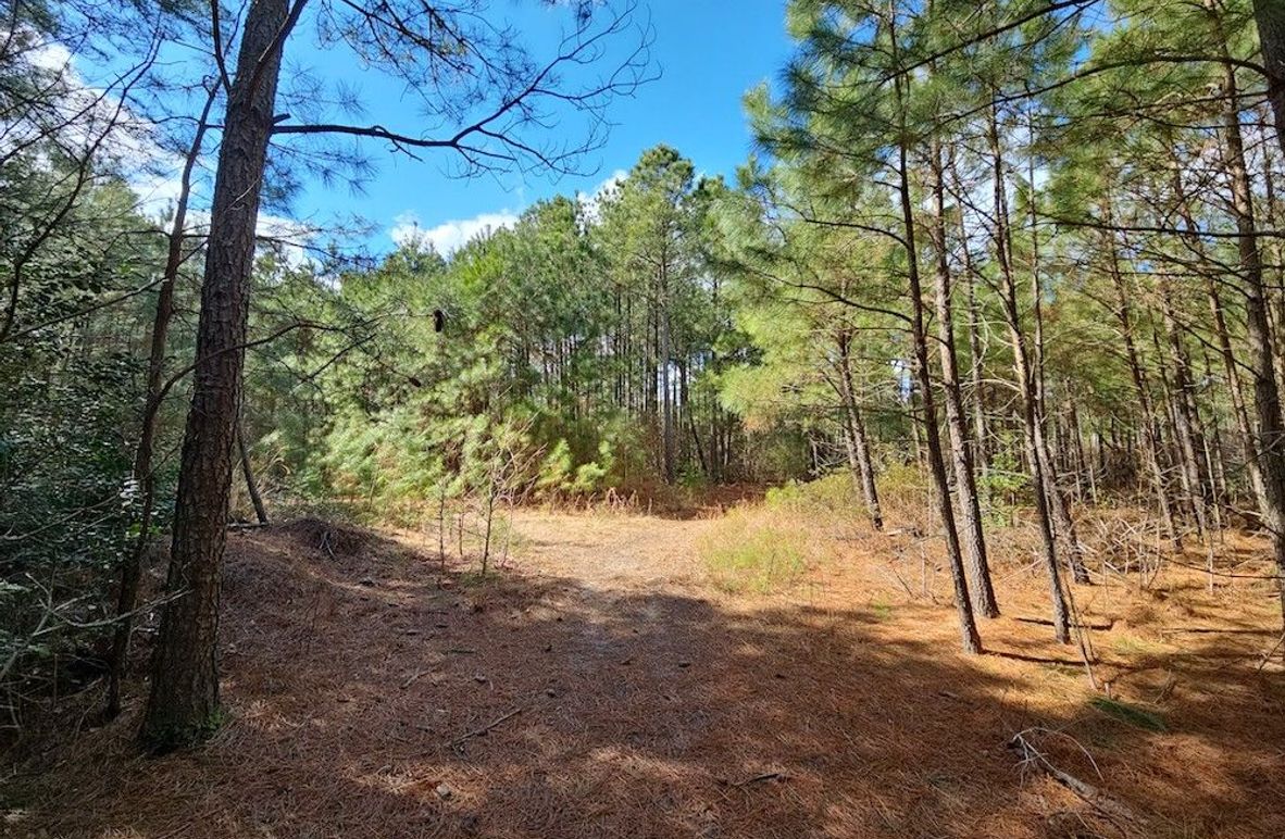 Romancoke_QAnnes_PIC_01