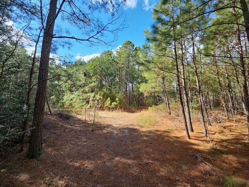 Romancoke_QAnnes_PIC_01