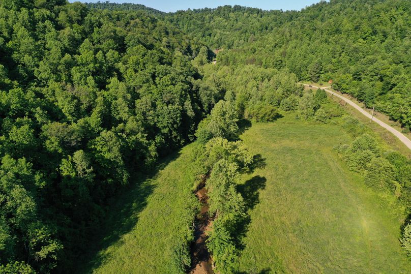 006 low elevation drone shot of the 2 acre portion on the west side of the creek