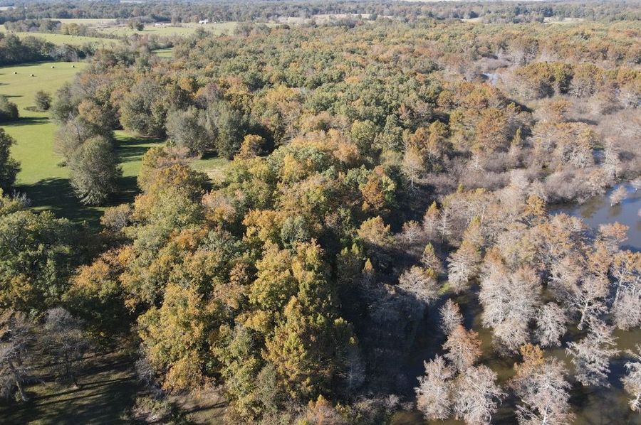 dji_fly_20241202_140828_386_1733170125634_photo