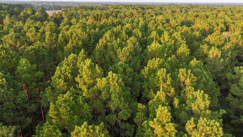 DJI_20250918182433_0223_D