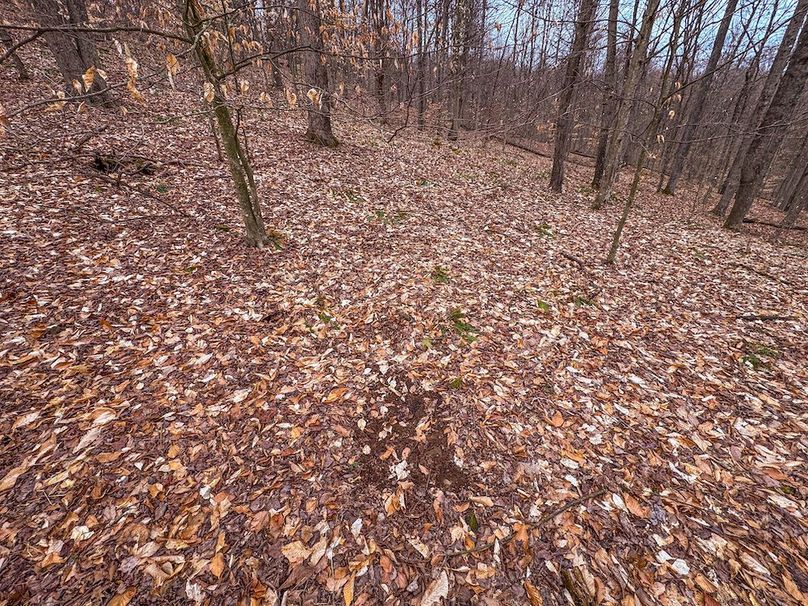 Tyler, WV 90 AC Burkhart-19