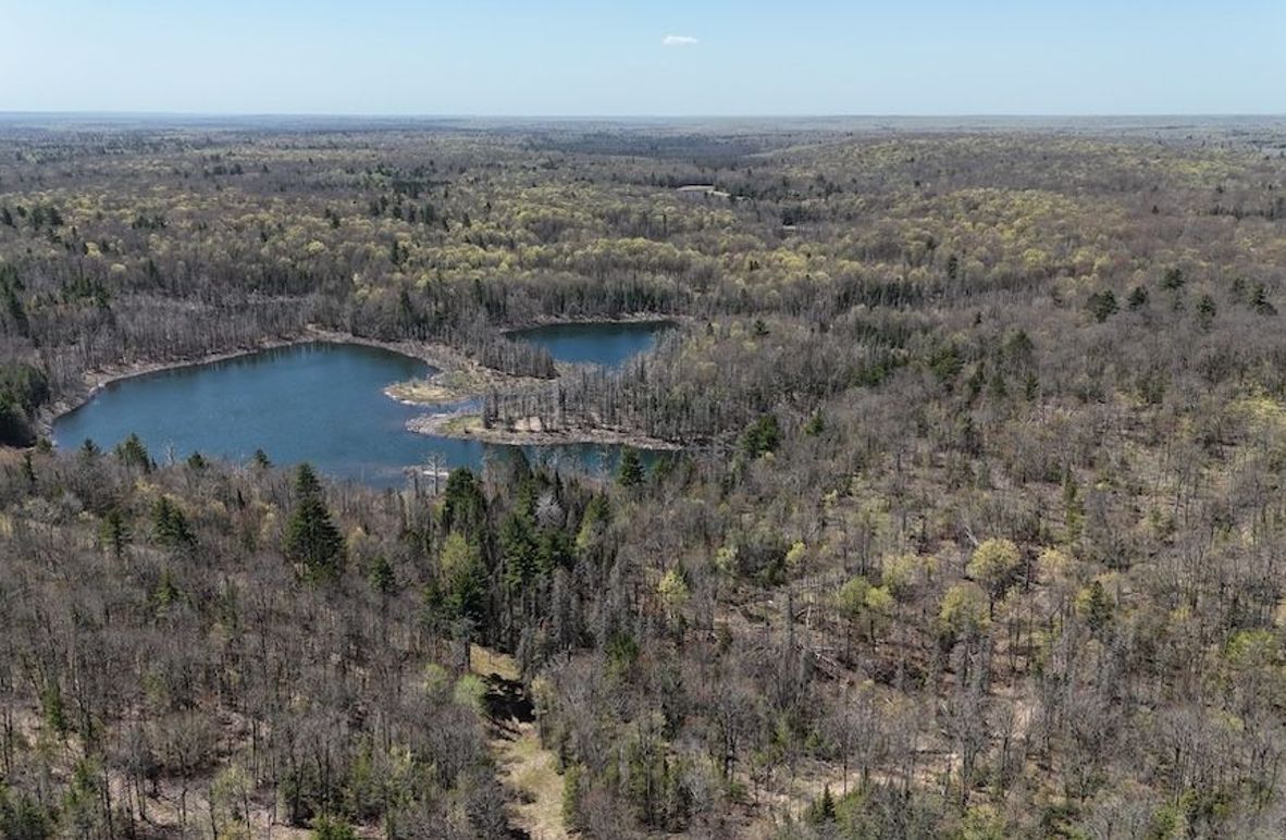 DJI_20260515121725_0013_D