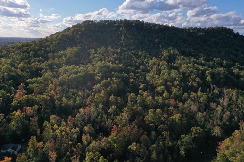 010 aerial drone view from the east boundary looking towards the peak and west boundary