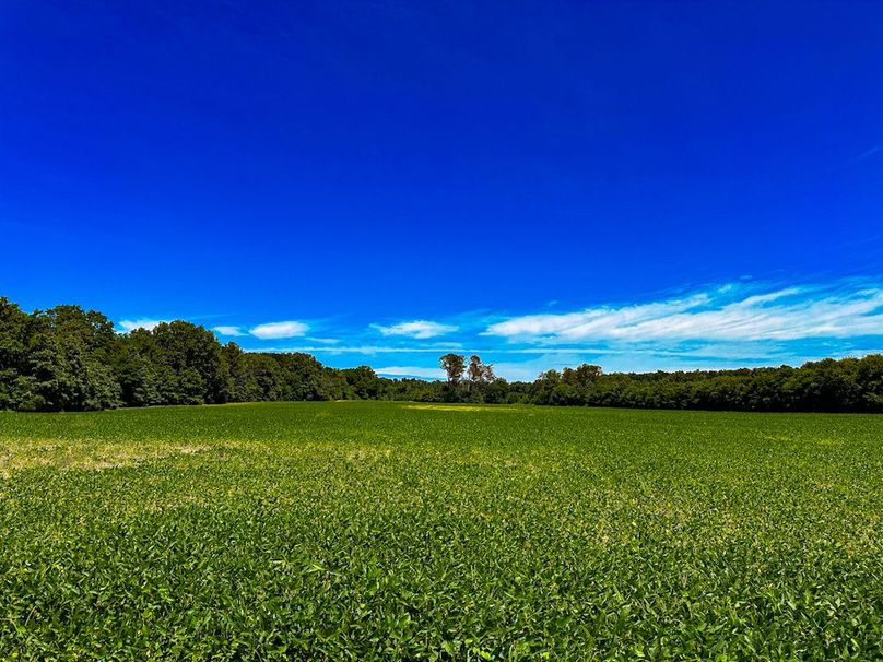 Chickasaw 160 Porter-19