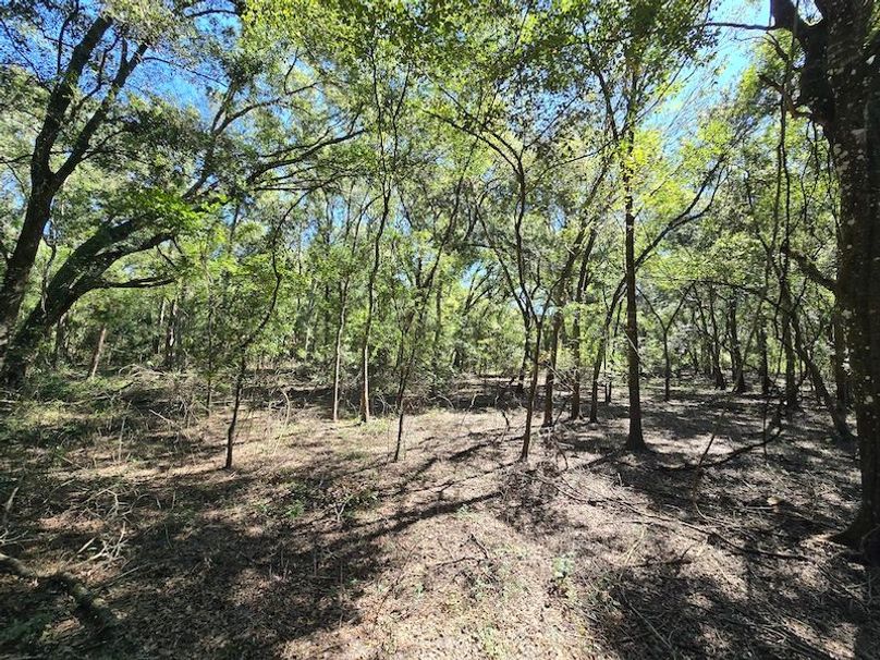 7.8ac, Citrus, Andrew Goering27