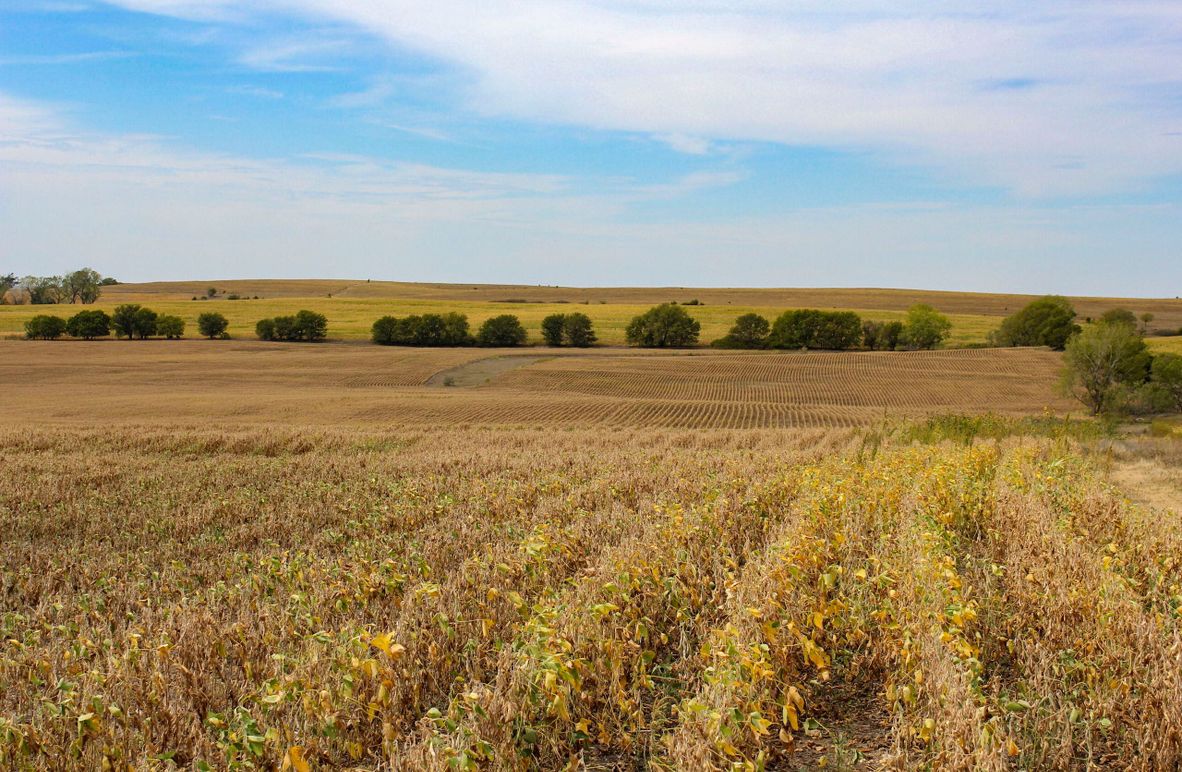 Cloud, KS, 69_004