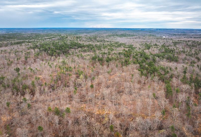 DJI_20250403135158_0602_D