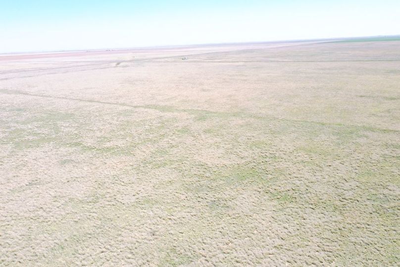 DJI_0665