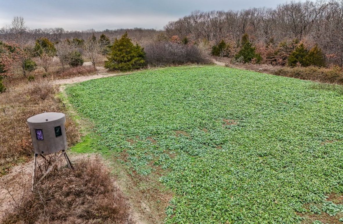 Copy of DJI_20251129134407_0042_D