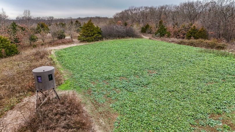 Copy of DJI_20251129134407_0042_D