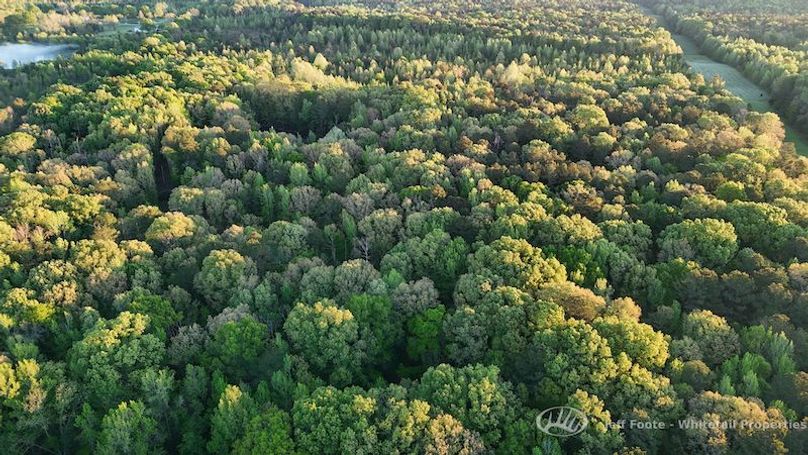 Hinds Co - 51 - Hughes-68