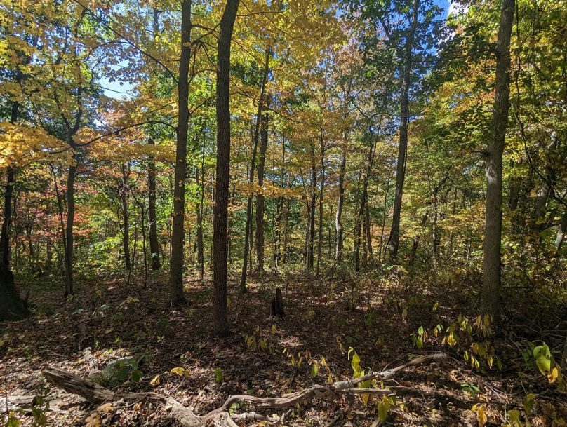 PXL_20231004_170828803