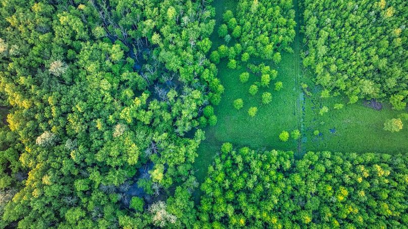 DJI_20250514052525_0005_D