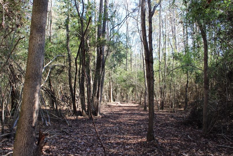 4A34C9B6-C190-4824-B692-8DEA857589D7_1_105_c