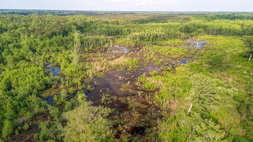 Carolina Homestead Horry-11