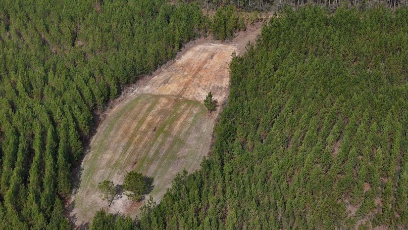 DJI_20231214123430_0008_D