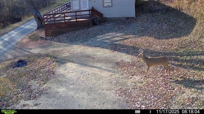 7966BD99-817E-43E9-801E-AEEE5AA2C5D4_4_5005_c