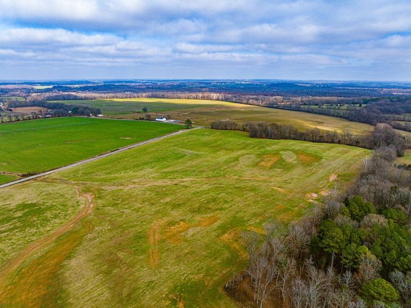 Henry 137 Miller-12-2