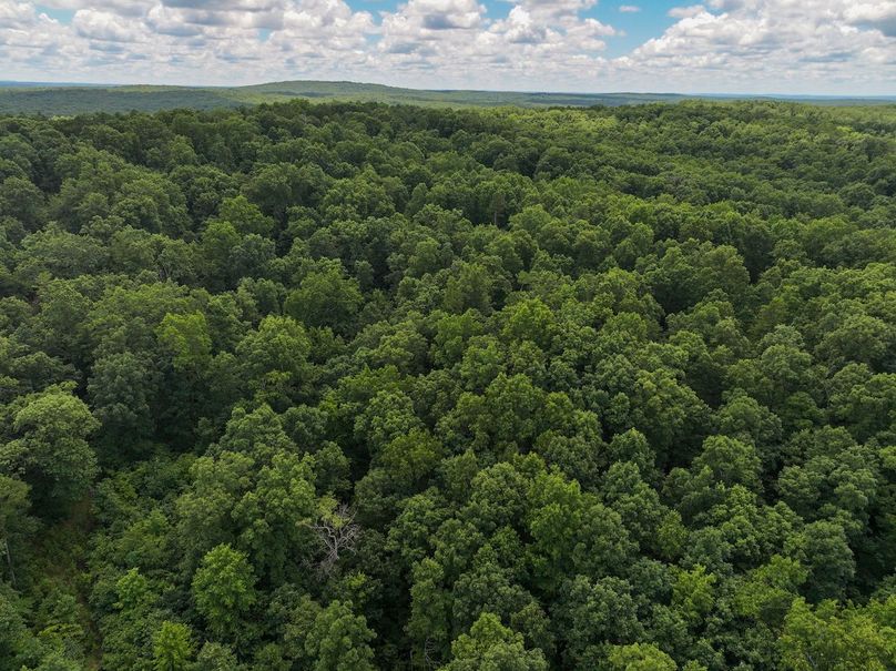 DJI_20250709125830_0416_D