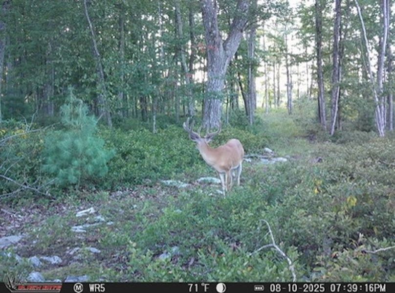 FC787C93-BB23-40B1-81D3-7B9E3C9C07A9_4_5005_c