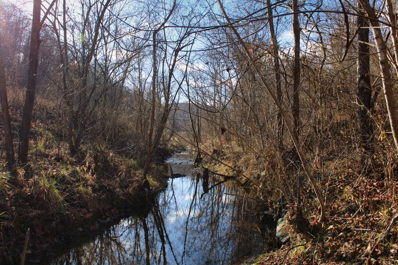 005 blue line rush fork creek