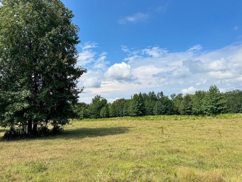 29 Jefferson 117ac - bethard-42