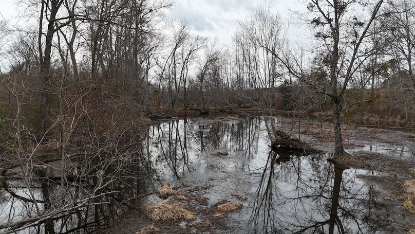 dji_fly_20260218_164800_0043_1771452052235_photo