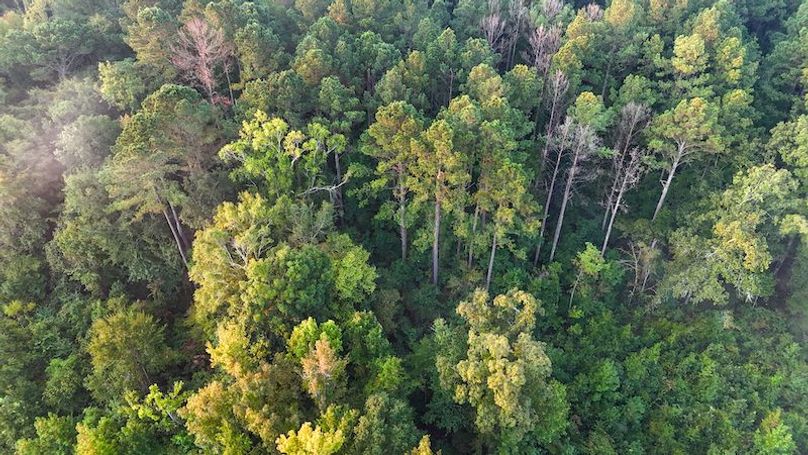 Madison Co - 40 - Clerk-15