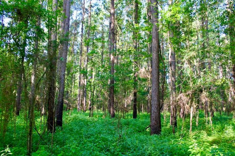 41EC0568-6E87-4854-89F0-DCCD33D43C77_1_201_a