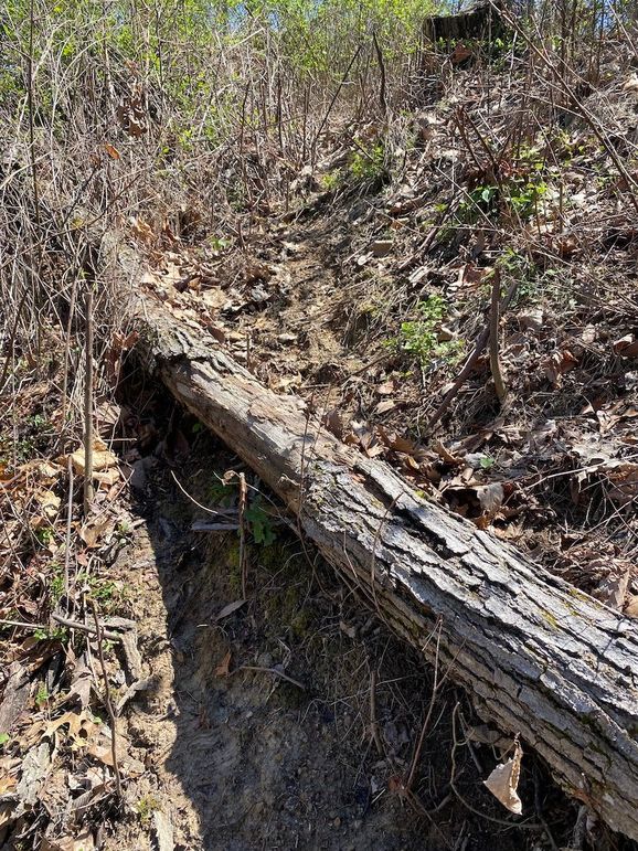 Carter Gordon 70 +_- 018