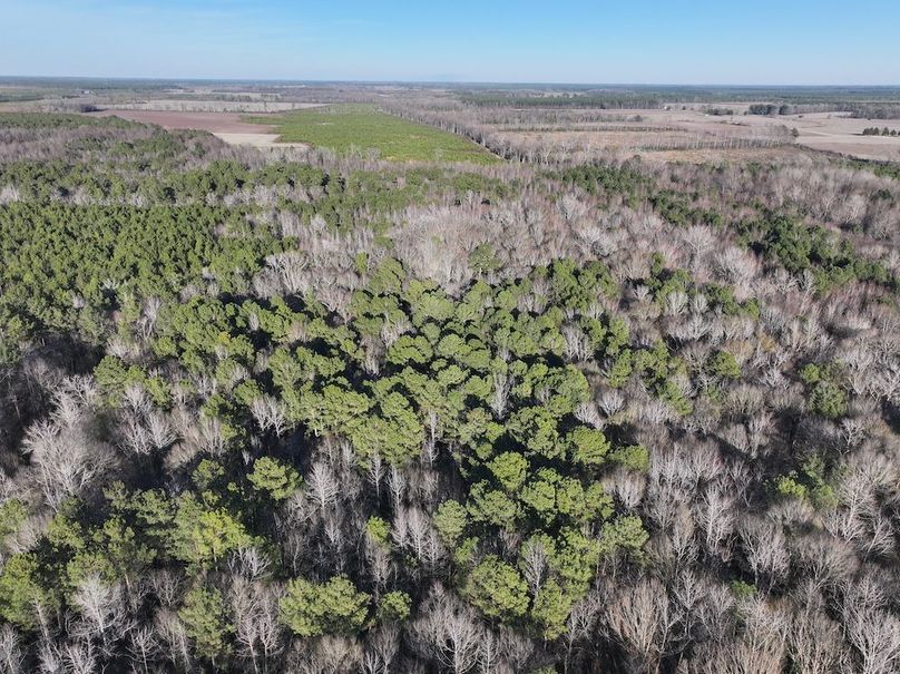 DJI_20260101162038_0305_D