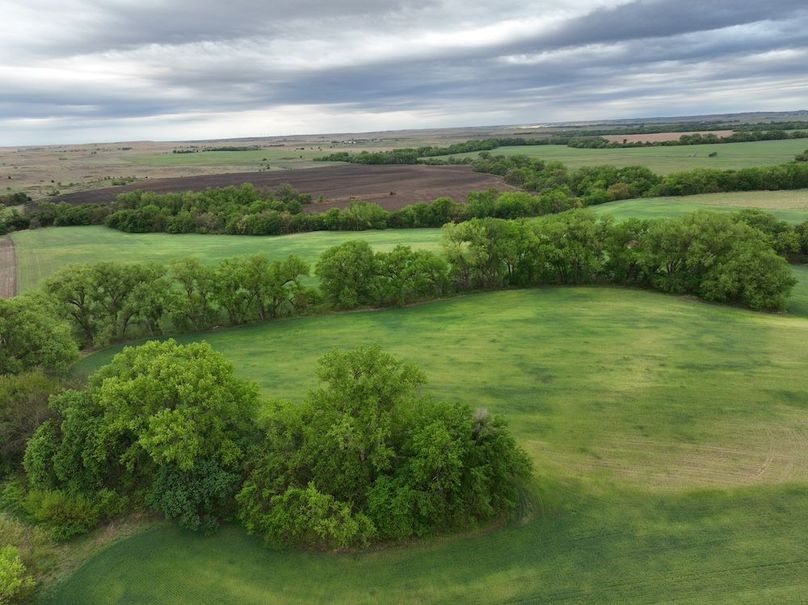 Copy of dji_fly_20240501_075926_971_1714569013860_photo