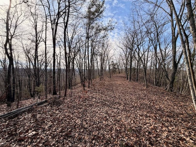 Roane Co TN 396 20251127_34