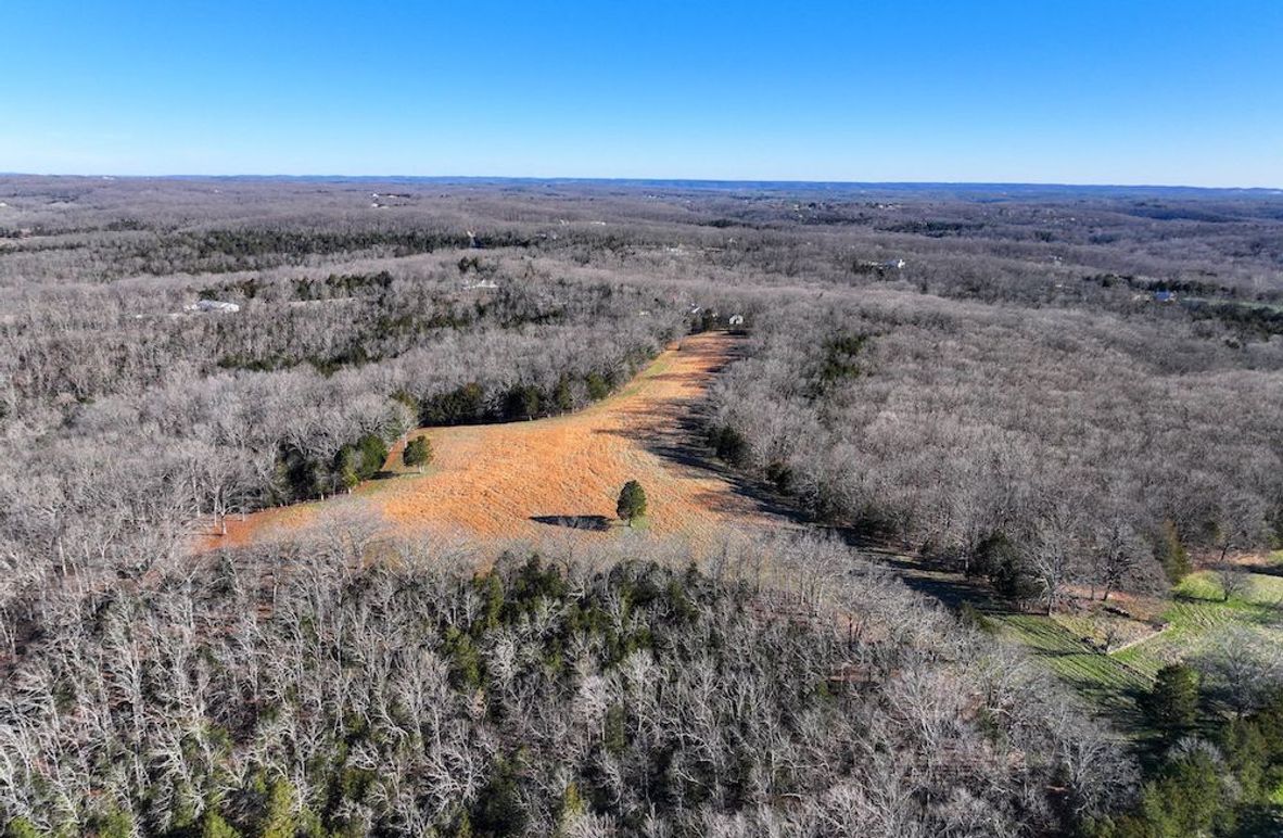 DJI_20260317092305_0946_D