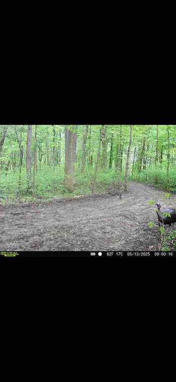 Screenshot 2026-02-12 at 10.48.05 AM