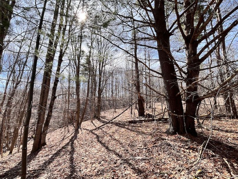 Lewis_26_Somberg Photo 54