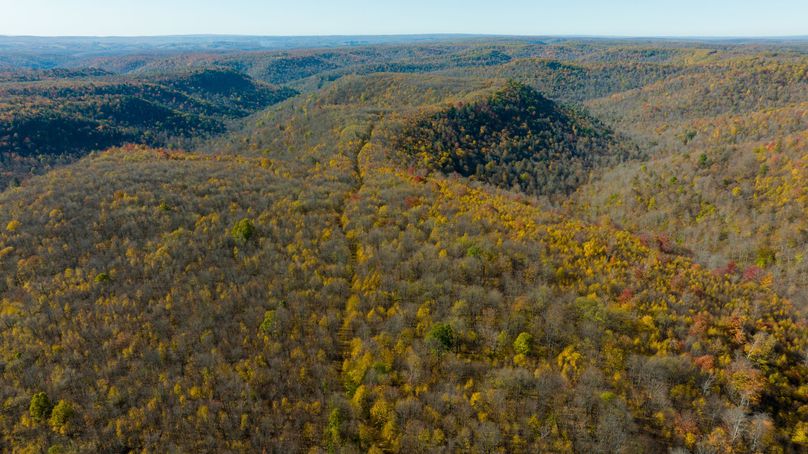 Elk PA 7000 Feature_Pro Photo-101