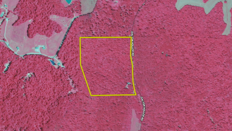 Screenshot 2024-08-15 104044