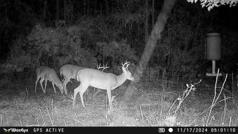 520413670_10161246519056875_3739916904491869400_n