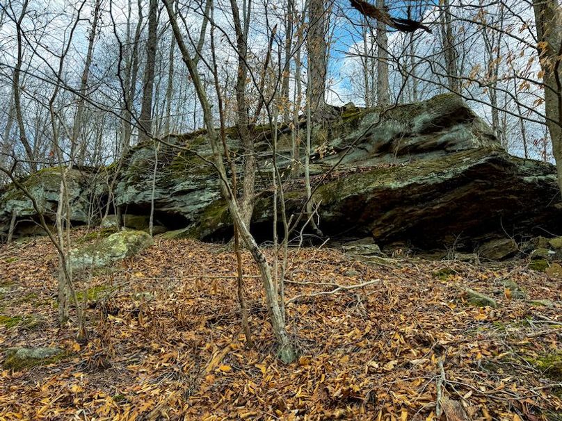 Doddridge, WV 79.08 AC Adams-80