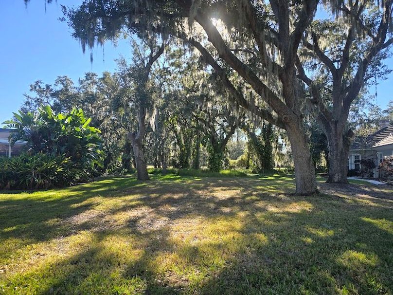  25ac, Osceola, Nimaya Fin03